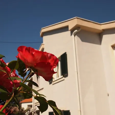Apartman Villas Rab Banjol